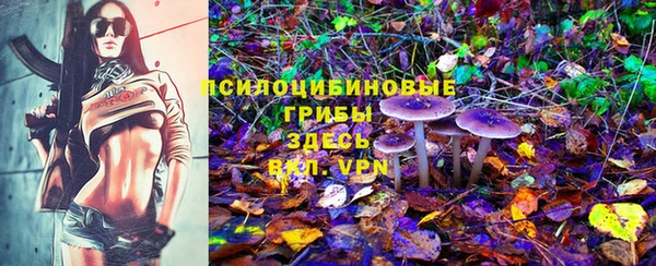 крисы Белоозёрский