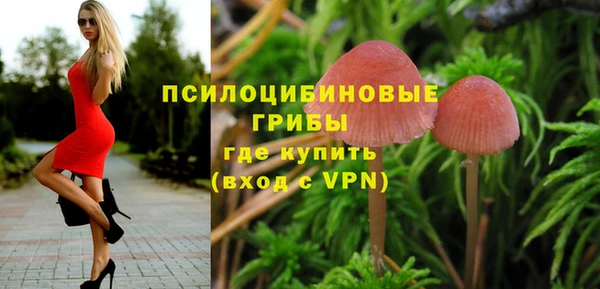 герыч Бородино