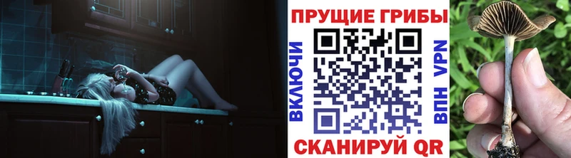 цена   Качканар  Псилоцибиновые грибы мицелий 